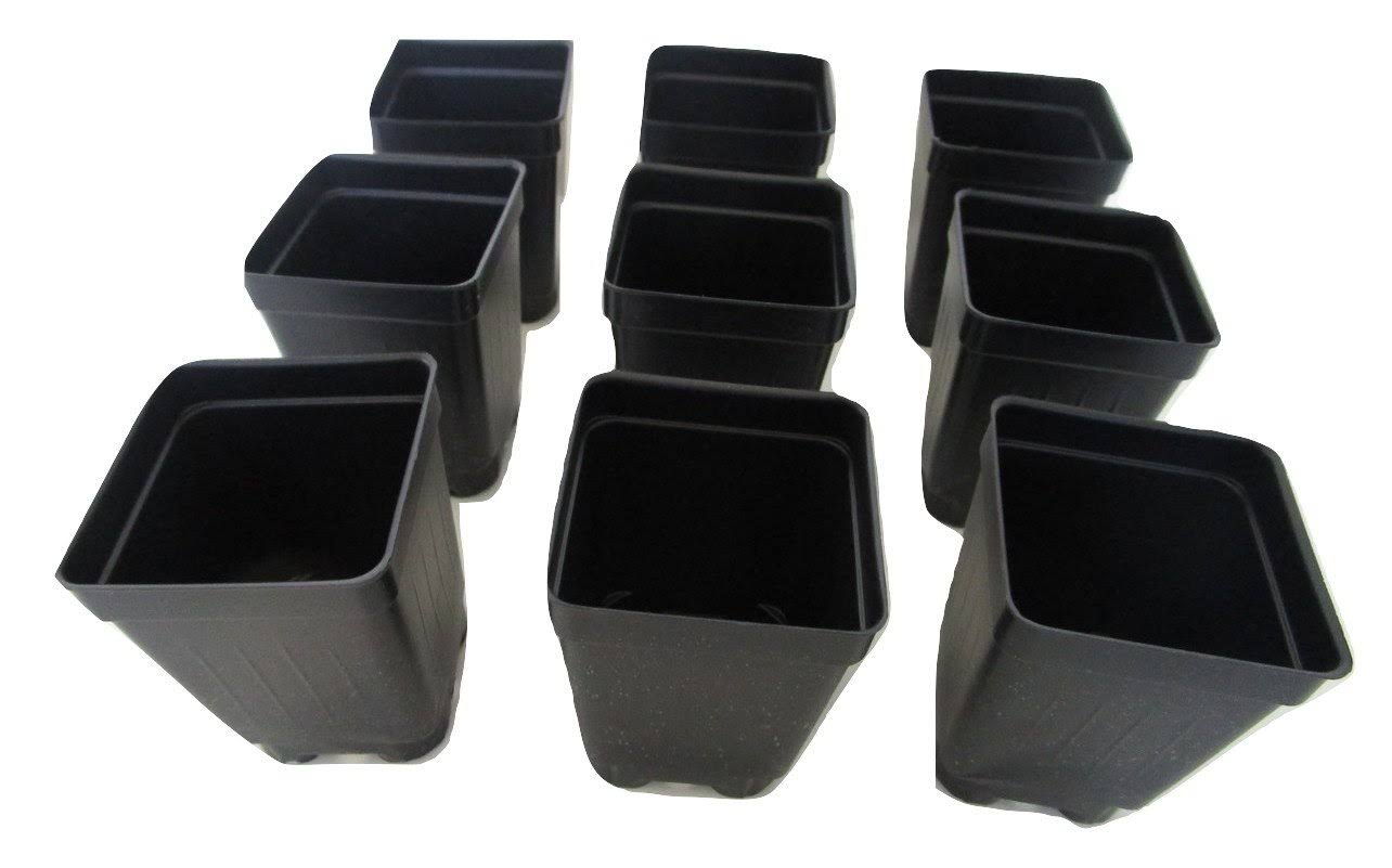 Landmark 2.5 inch Square Deep Nursery Pots - 50 Qty, Black - Product image 1